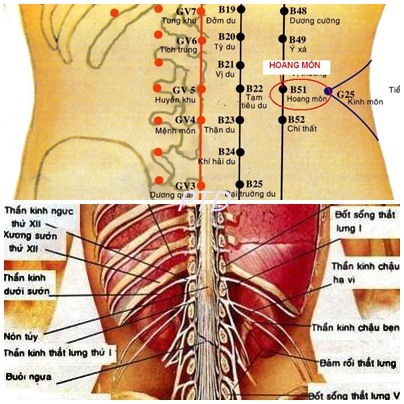 Vị trí huyệt hoang môn