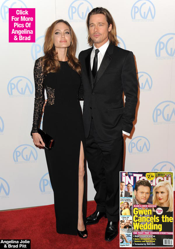 PinkMovement: Brangelina Split?Brad Pitt And Angelina ...