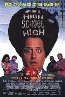 descargar High School High – DVDRIP LATINO