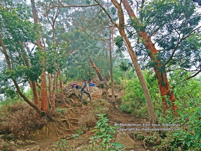 Pendakian Gunung Panderman via Dukuh Toyomerto