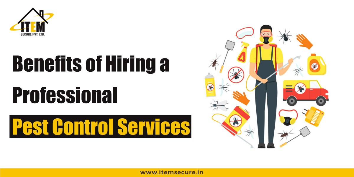 Benefits of Hiring a Professional Pest Control Services