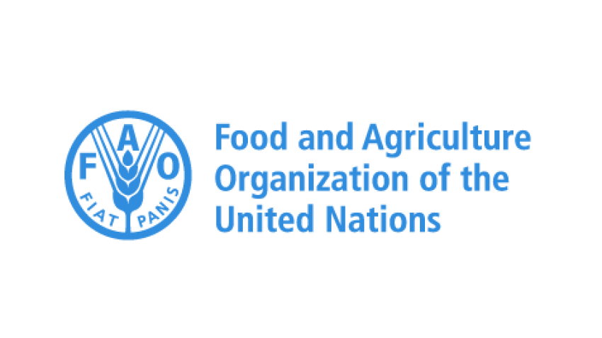 National Project Personnel Project Team Leader At Fao All About Jobs