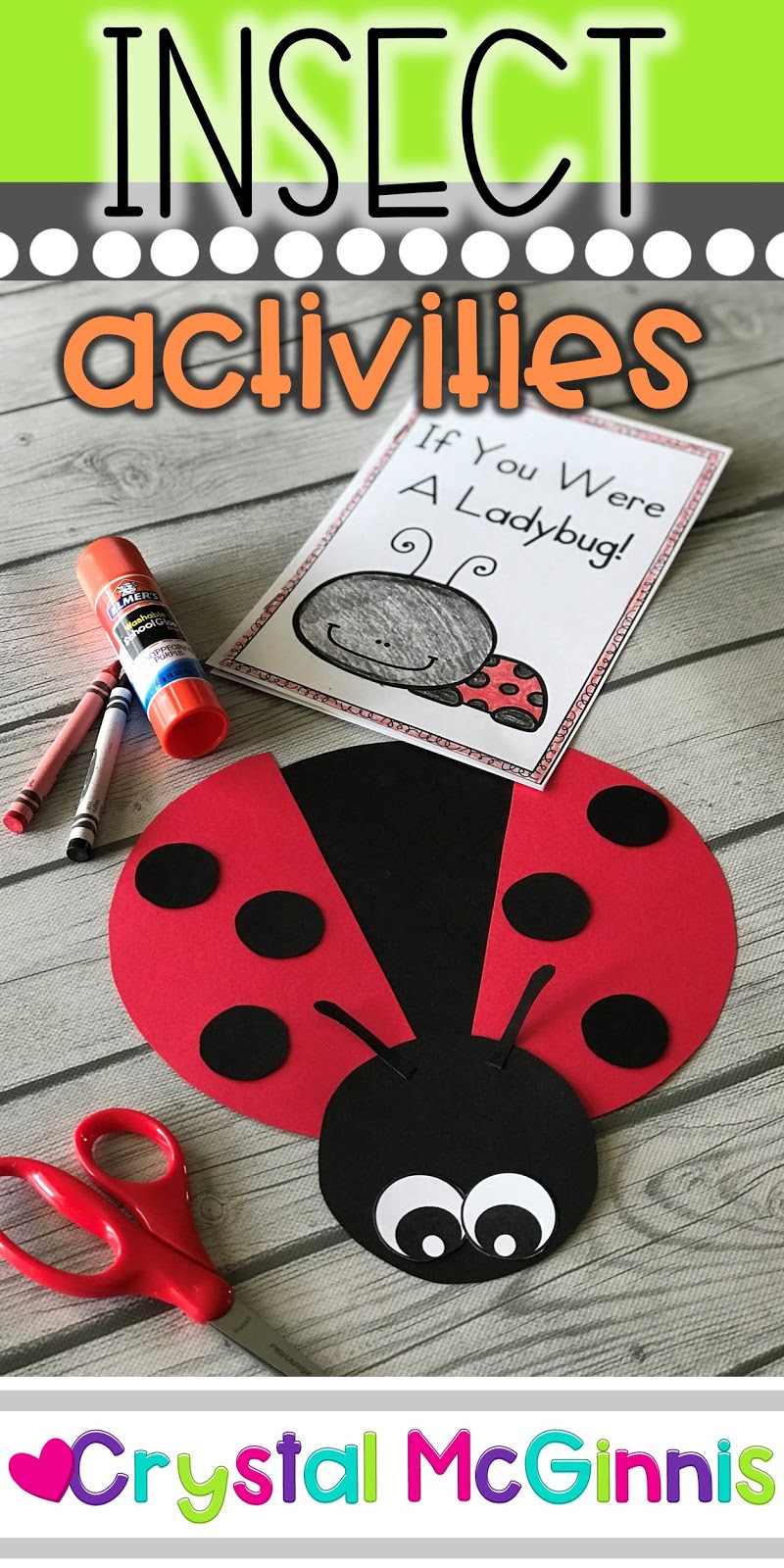 Insect Activities For Elementary Students