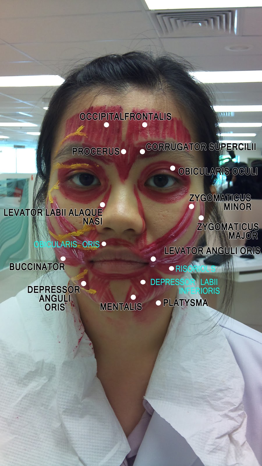 WizDent Muscles of Facial Expression & Facial Nerve (Clinical Session)