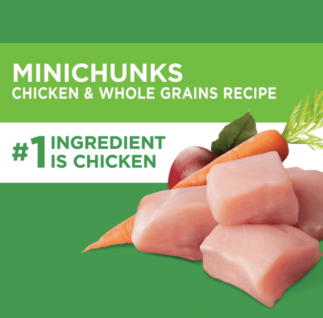 IAMS Chicken Minichunks Dry Dog Food