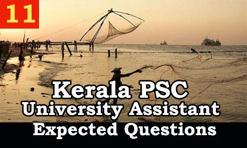 Kerala PSC : Expected Question for University Assistant Exam - 11