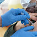 “Mπλόκο” σε παρτίδα εμβολίων της AstraZeneca – Συνέχιση των εμβολιασμών συνιστά ο ΕΟΦ