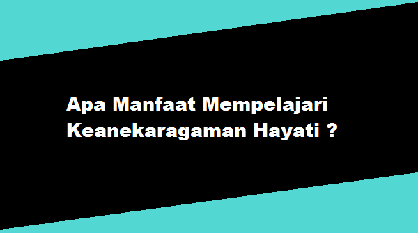 Apa Manfaat Mempelajari Keanekaragaman Hayati ? - SEO KILAT