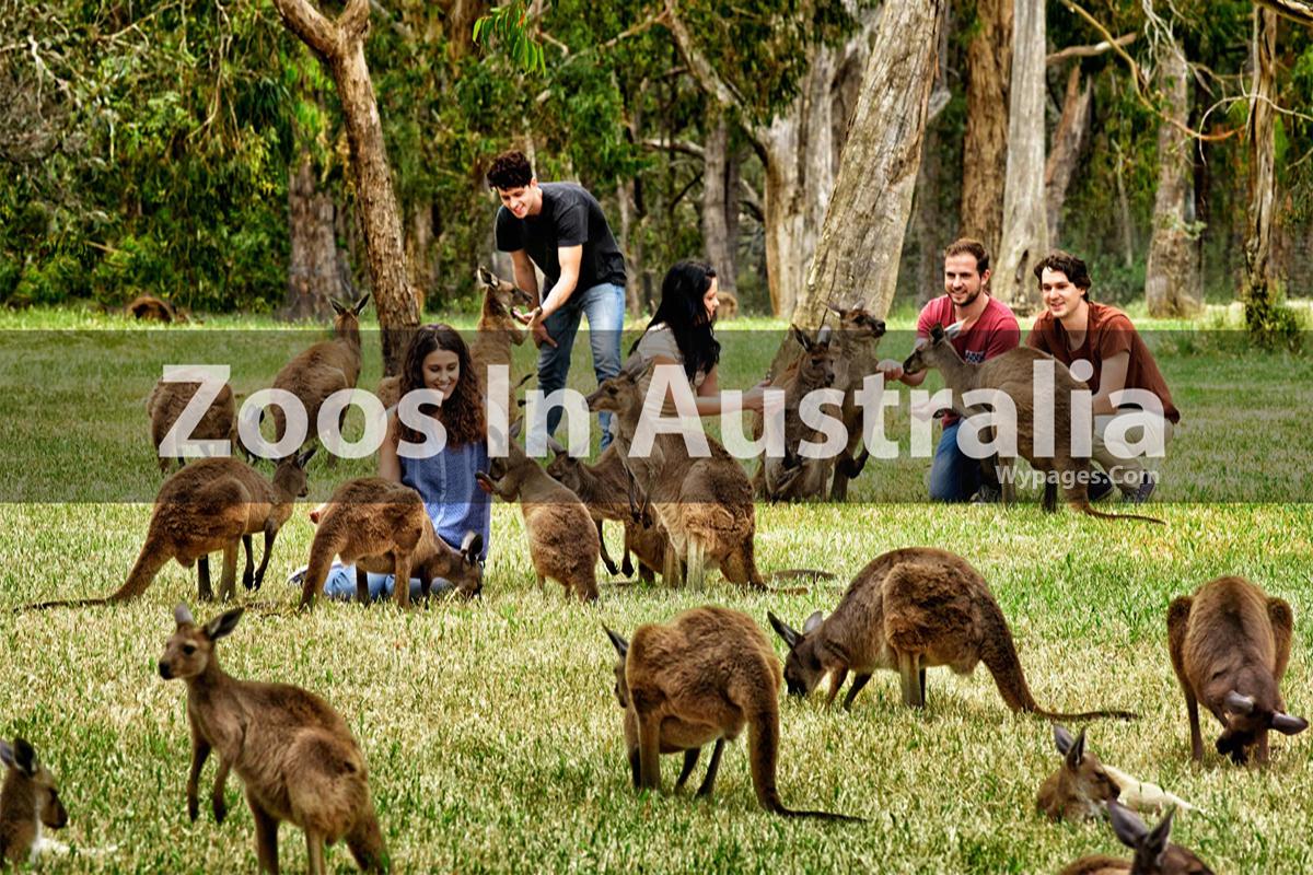 Zoos In Australia