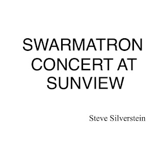 Steve Silverstein, Swarmatron Concert at Sunview