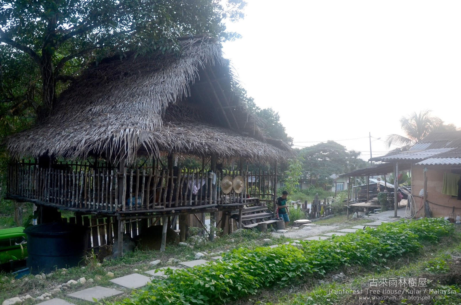 古來普萊山熱帶雨林 承載夢想的夢幻樹屋村落 Rainforest Treehouse Gunung Pulai, Kulai