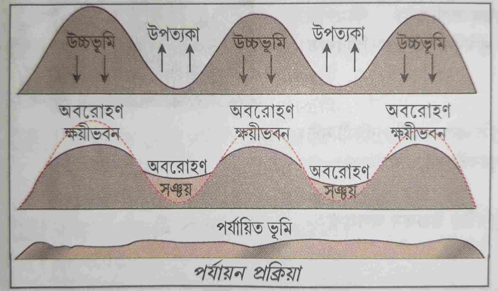 প্রথম অধ্যায়ঃ বহির্জাত প্রক্রিয়া তাদের দ্বারা সৃষ্ট ভূমিরূপ | উপঅধ্যায়-১ বহির্জাত প্রক্রিয়া MCQ, সংক্ষিপ্ত, রচনাধর্মী প্রশ্নোত্তর