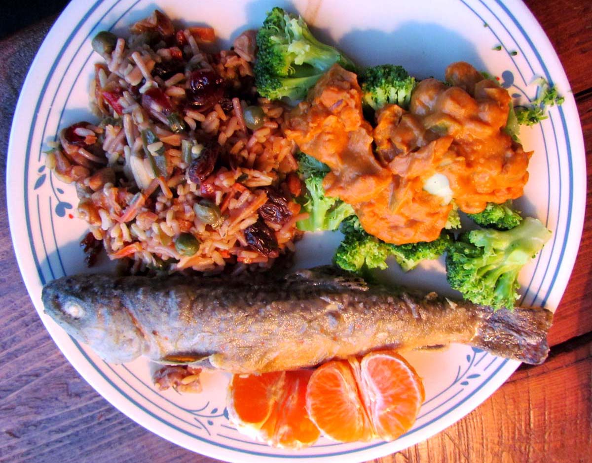 The Agatelady Adventures and Events School Forest Snoeshoe and Brook