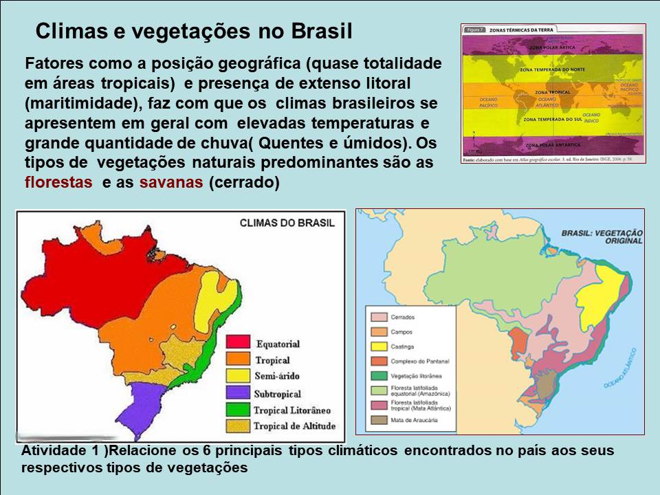 Quais são os TIPOS de VEGETAÇÃO do Brasil? 
