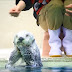This Pose Striking Sea Otter From Mie Is Driving People Crazy On Twitter (Video)