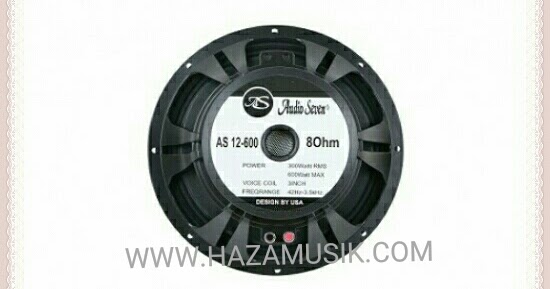 speaker audio seven 12 inch