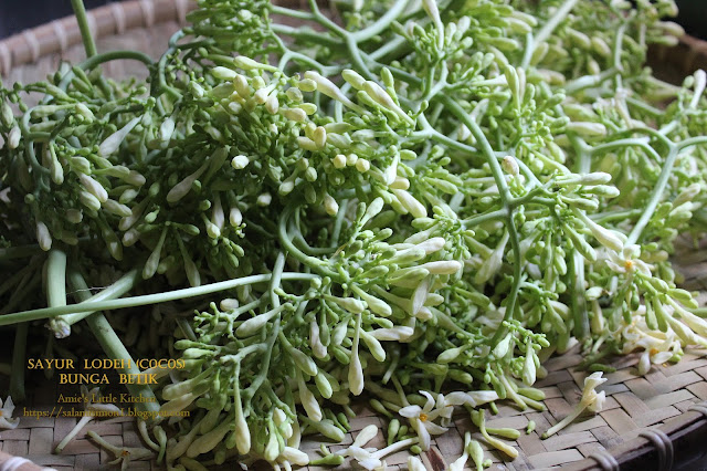 Sayur Lodeh (Cocos) Bunga Betik Resipi Mak Mentuaku