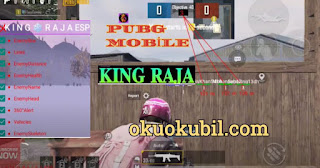 Pubg Mobile 0.19.0 King Raja Esp Menu Actıvate Antiban Hileli İndir 2020