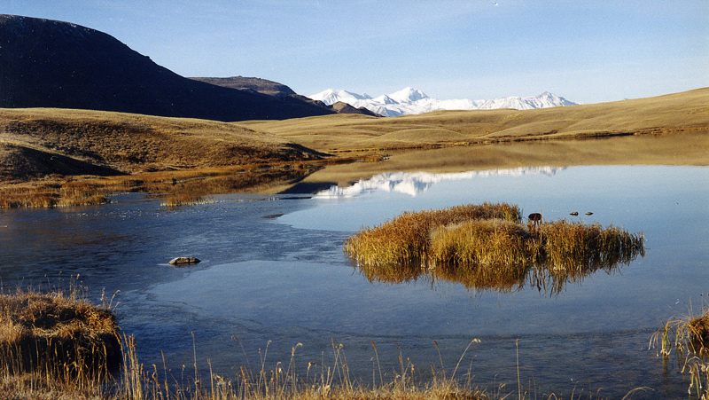 Altai Nature Reserve 4
