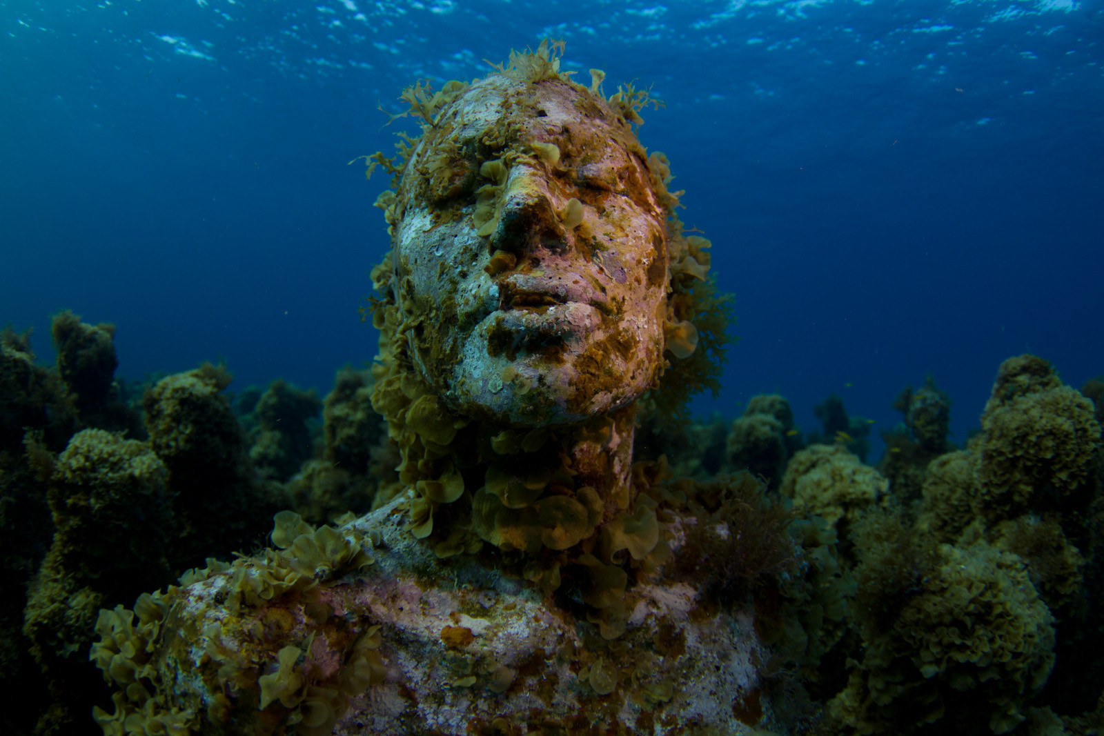 Чудеса на море Чудеса на море