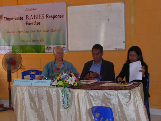 Timor Leste Livre husi Moras Raiva (Rabies)