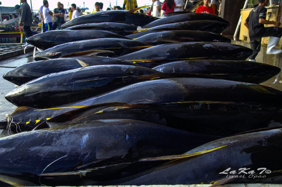 Gensan, Tuna Pride of the Philippines >>> Lakat