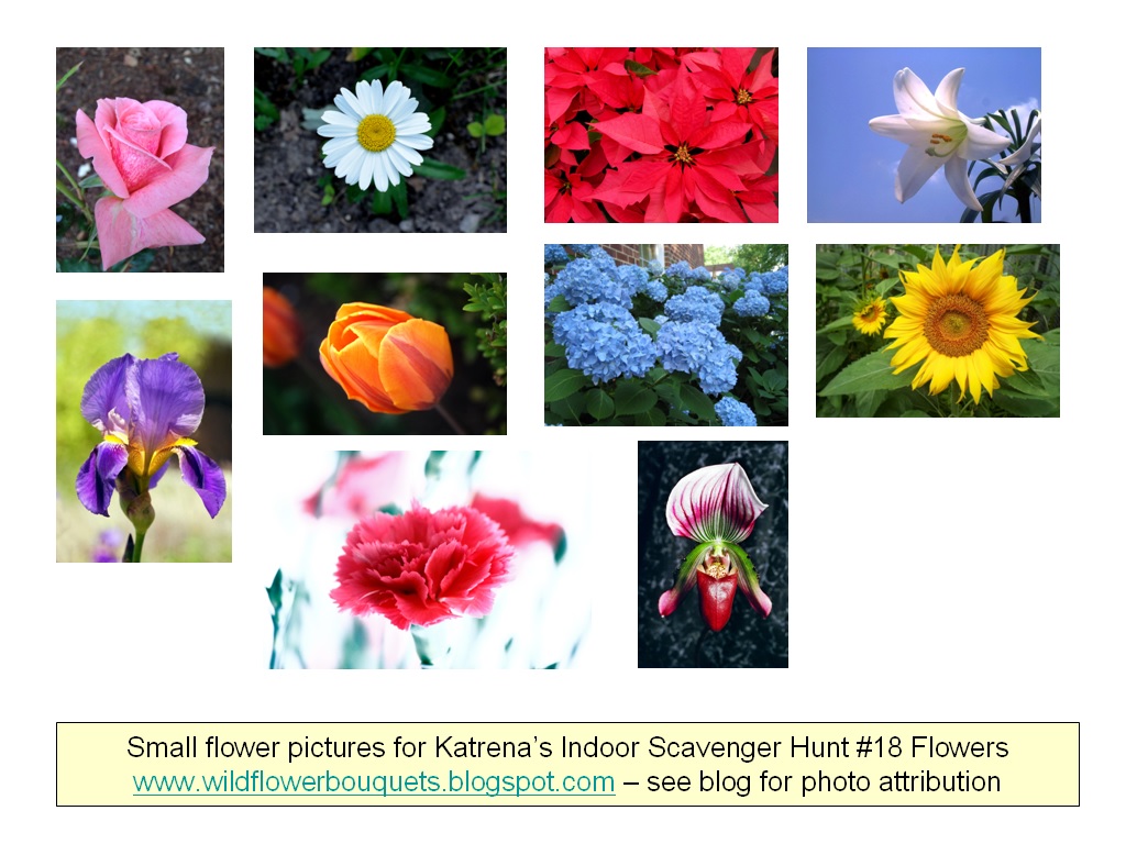 Wildflower Bouquets Enjoy Simple Pleasures Katrena's Indoor