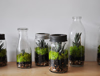 Cómo construir tu propio Terrarium