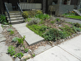 Monarch Park spring garden clean up before by Paul Jung Gardening Services Toronto