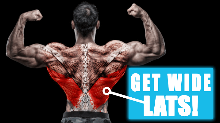 Bodybuilding Workouts Lats Exercises Exercise Guides bodybuilding-workouts-lats-exercises-exercise-guides