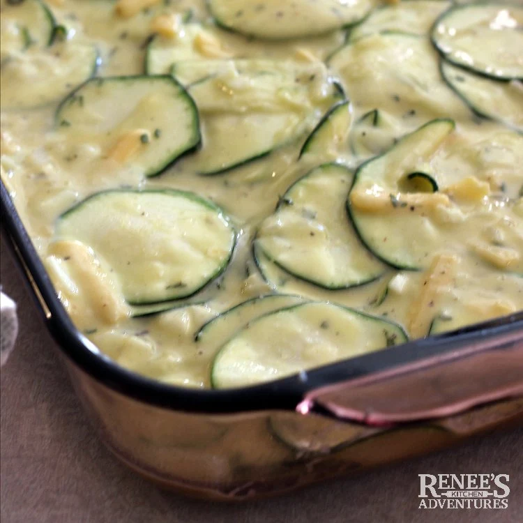 zucchini appetizer in baking dish ready for the oven