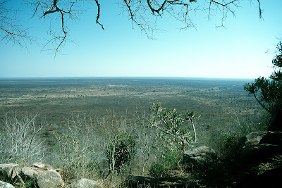 Kruger National Park, South Africa