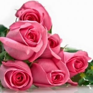  Gambar  Rangkai Bunga  Mawar  Merah Muda Pink Gambar  Satu  