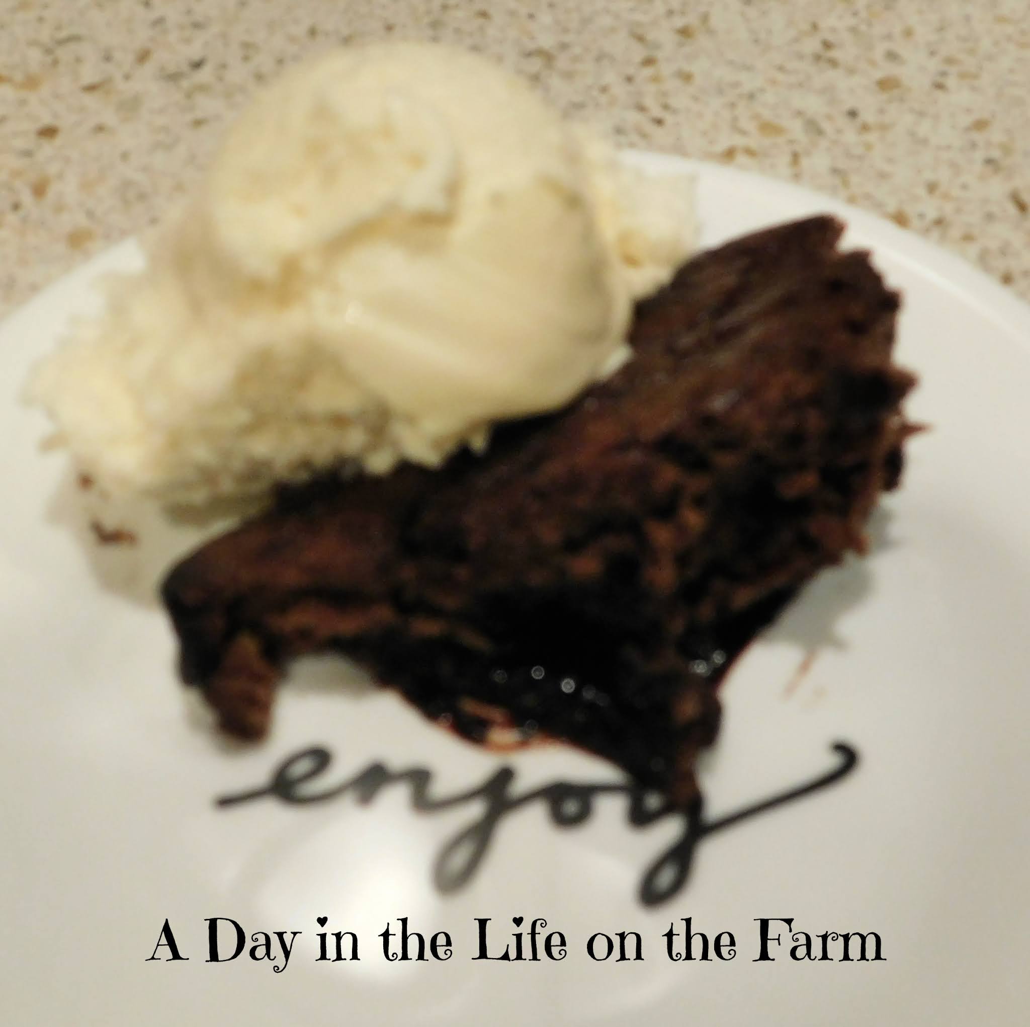 A Day in the Life on the Farm Hot Chocolate and Halva Pudding paired with Lion De Tanesse L