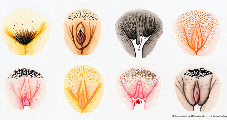 Vulvas and vaginas: the perfect lips – and why they don’t exist.