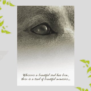 beautiful soul dog sympathy card