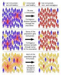 Herd Immunity Protection from COVID-19 Chart Diagram
