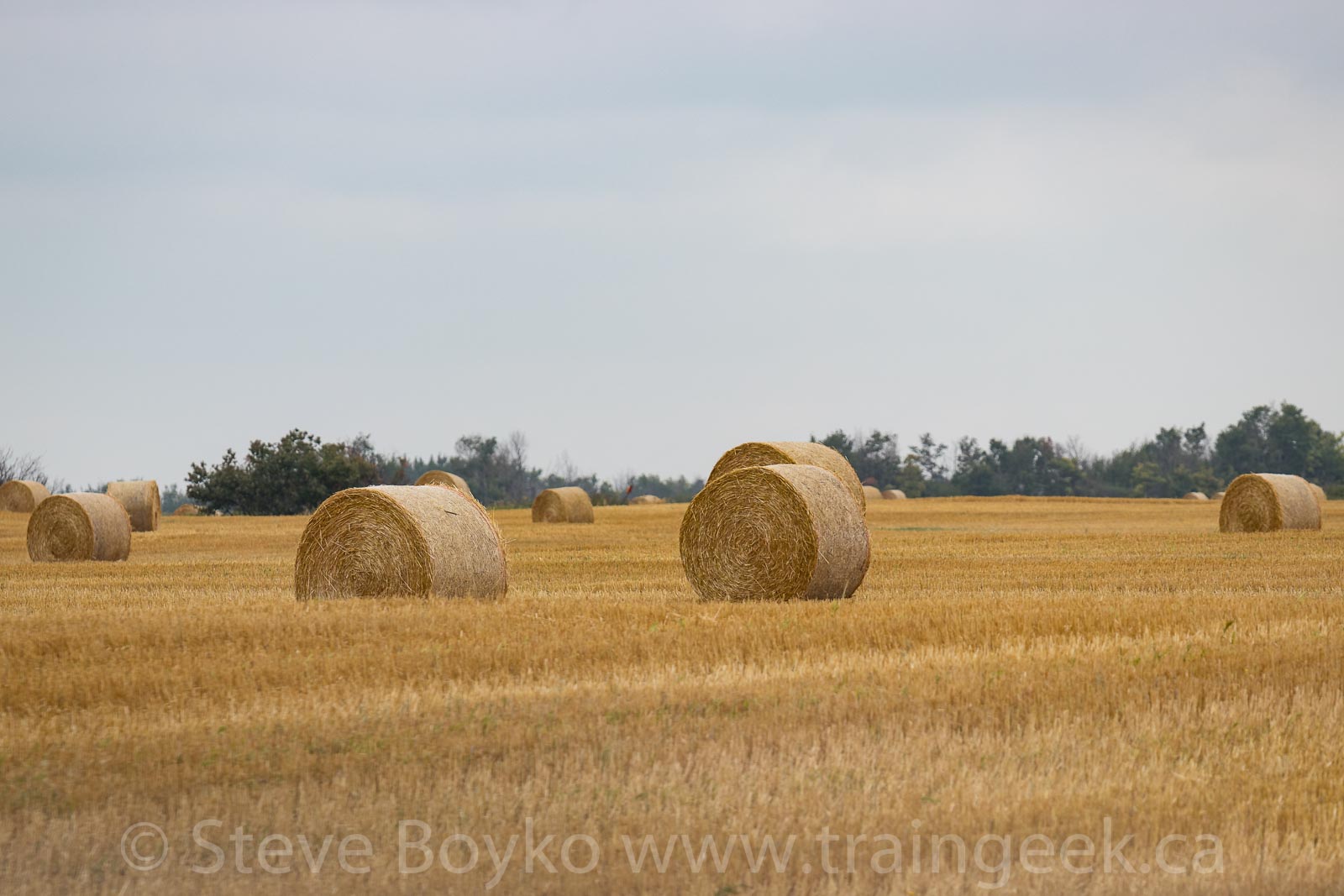 The view from here Manitoban Hay Bales