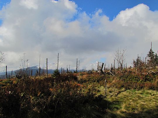 Babia Góra w chmurach.