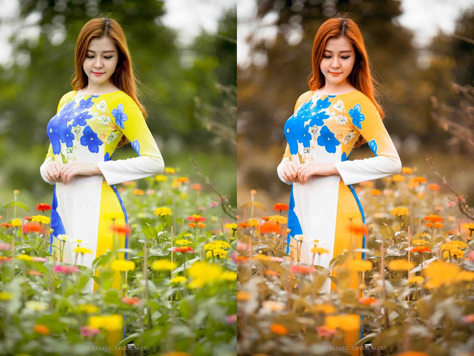 450 Color Lookup 3d Luts Presets For Photoshop Free Download