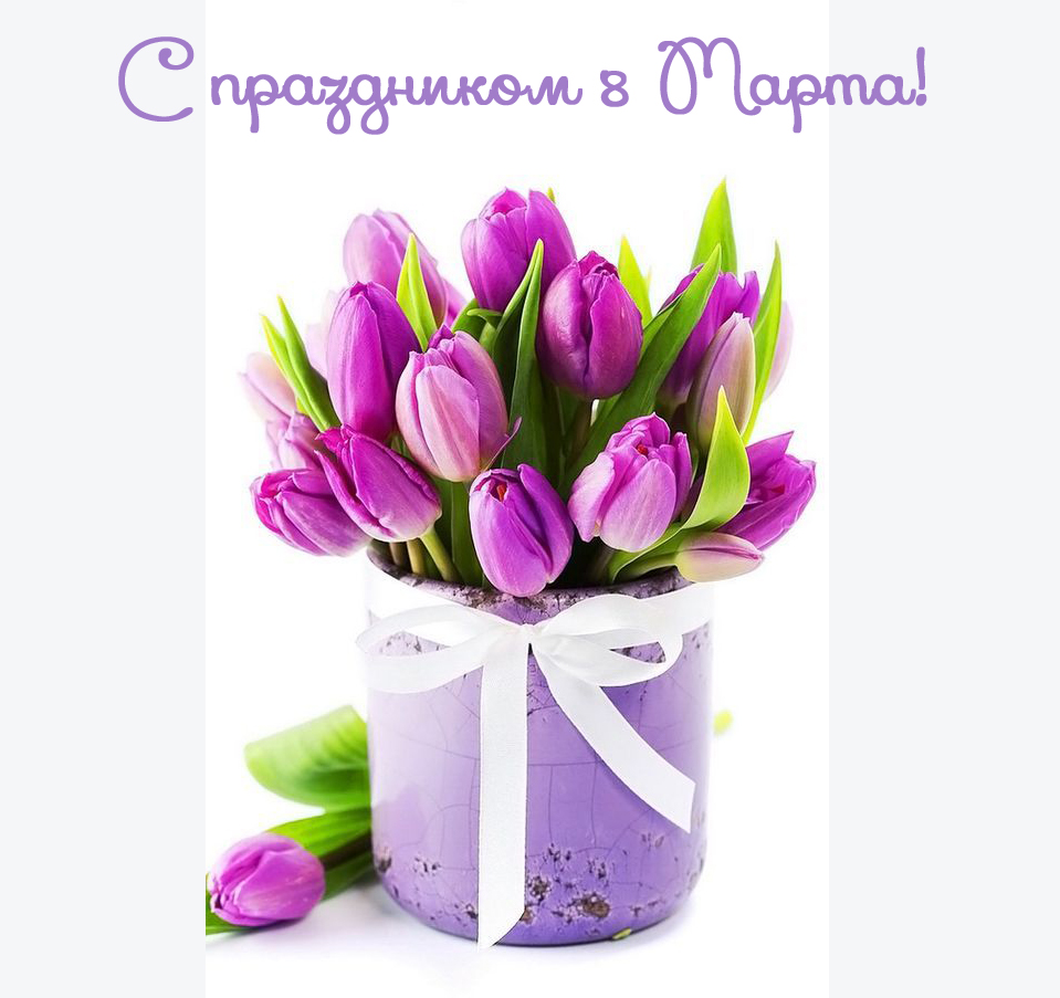 Тюльпаны в оазисе. Фиолетовые тюльпаны букет. Тюльпан фиолетовый. Фиолетовые тюльпаны в коробке.