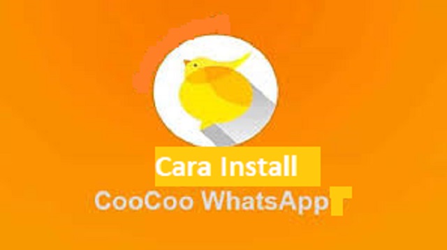 Aplikasi Mempercantik Video Call Whatsapp 2021 Cara1001