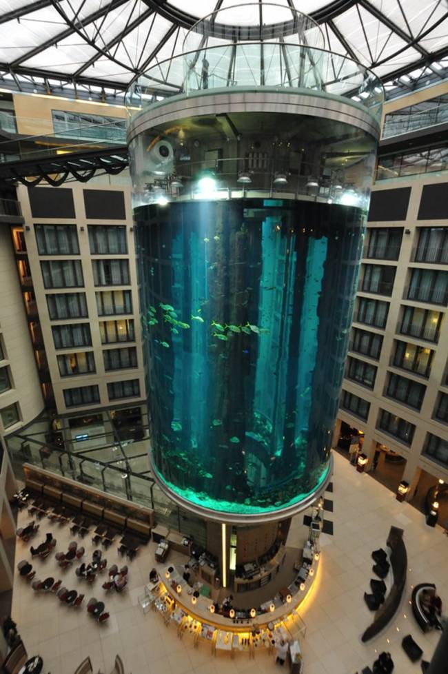 World's Largest Cylindrical Aquarium