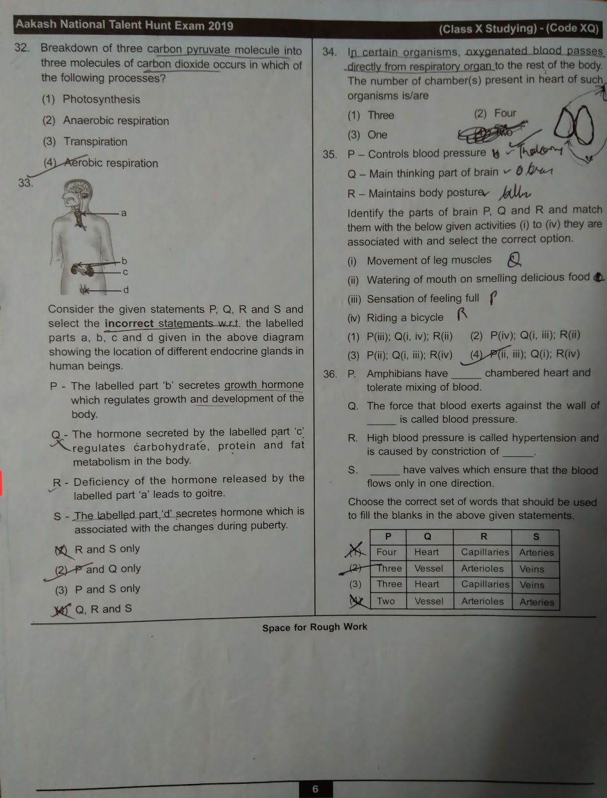 Aakash ANTHE Class 10 201920 Question Paper PDF (free download)!