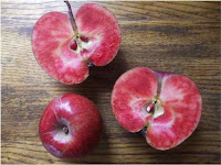 Apples that are red on the outside and the inside - Micah Rood apples.