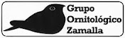 Blog official Grupo Ornitológico Zamalla