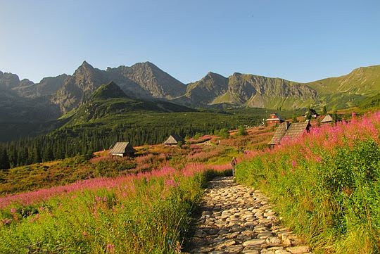 Dolina Gąsienicowa. Dolina Gąsienicowa.
