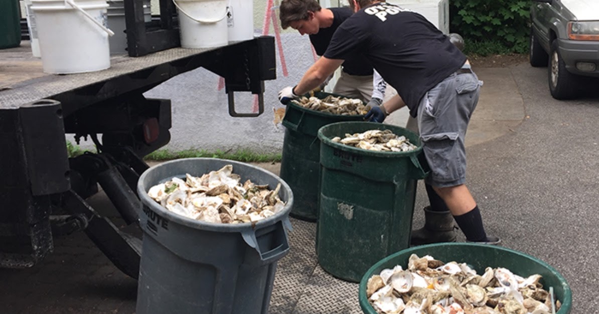 PA Environment Digest Blog Chesapeake Bay Oyster Recovery Partnership