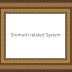Stomach related System Stomach related System