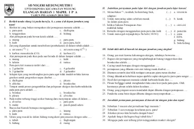 Download Kumpulan Soal UTS SD Kelas 5 Semester 1